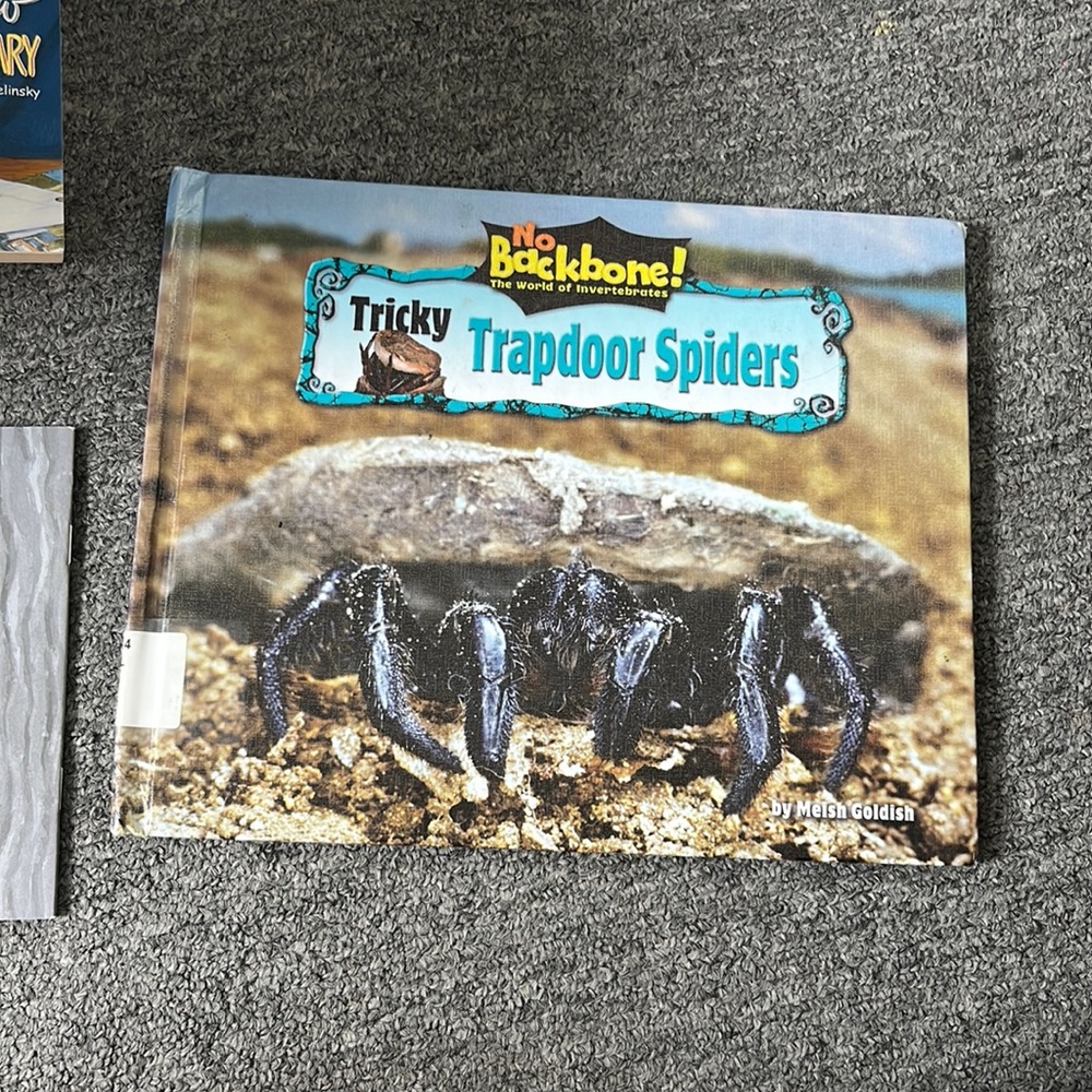Kids book